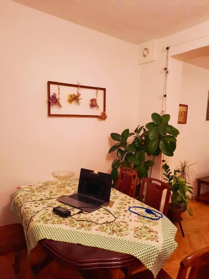 Vila Sunshine House Pančevo Exteriér fotografie