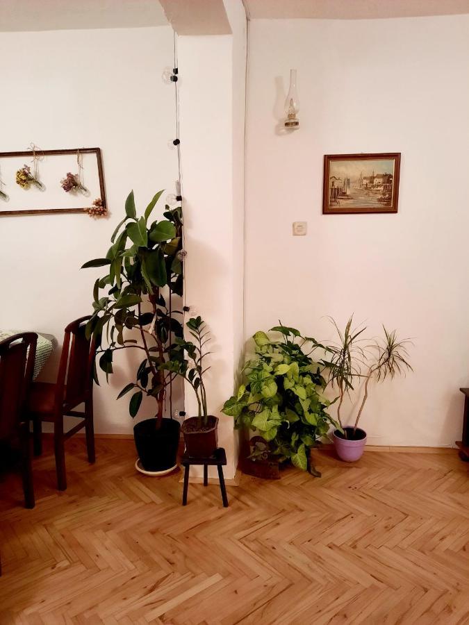 Vila Sunshine House Pančevo Exteriér fotografie