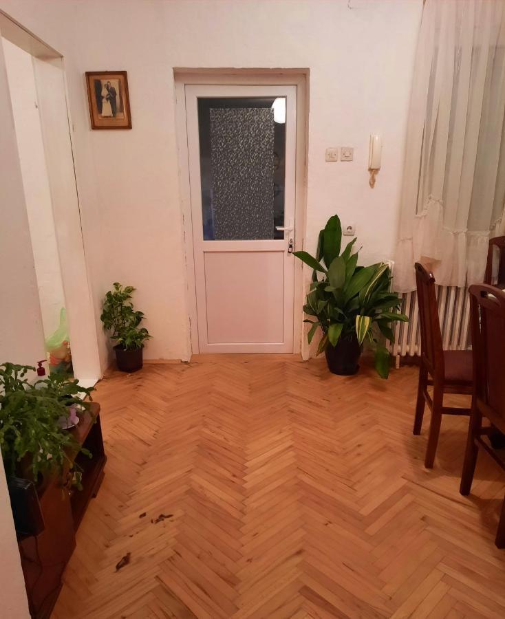 Vila Sunshine House Pančevo Exteriér fotografie