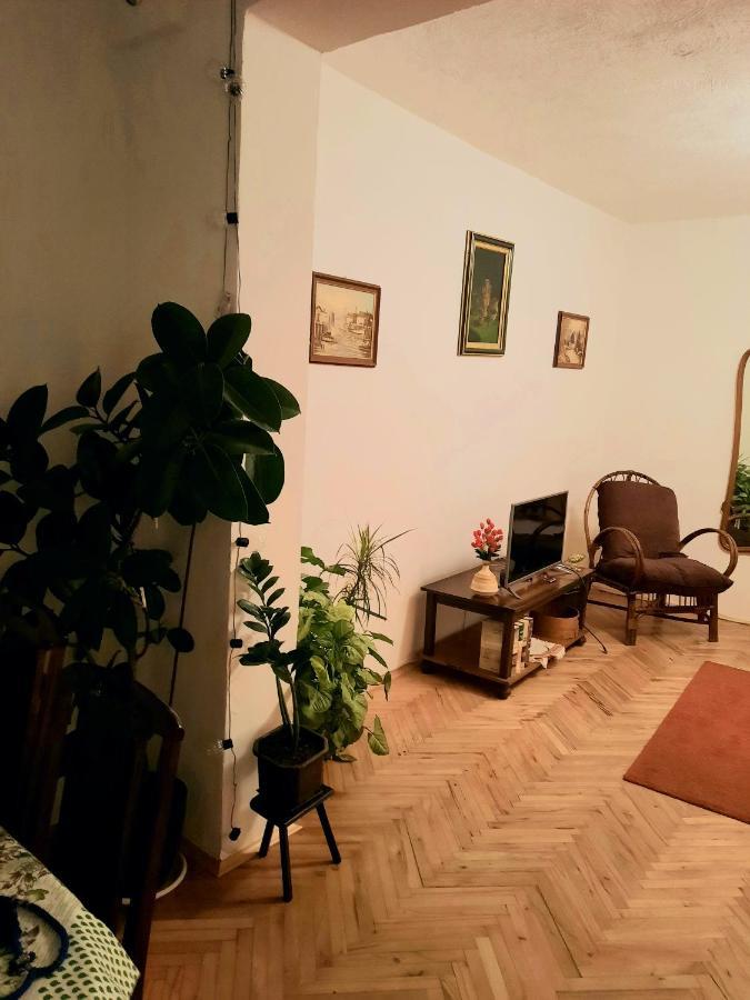 Vila Sunshine House Pančevo Exteriér fotografie